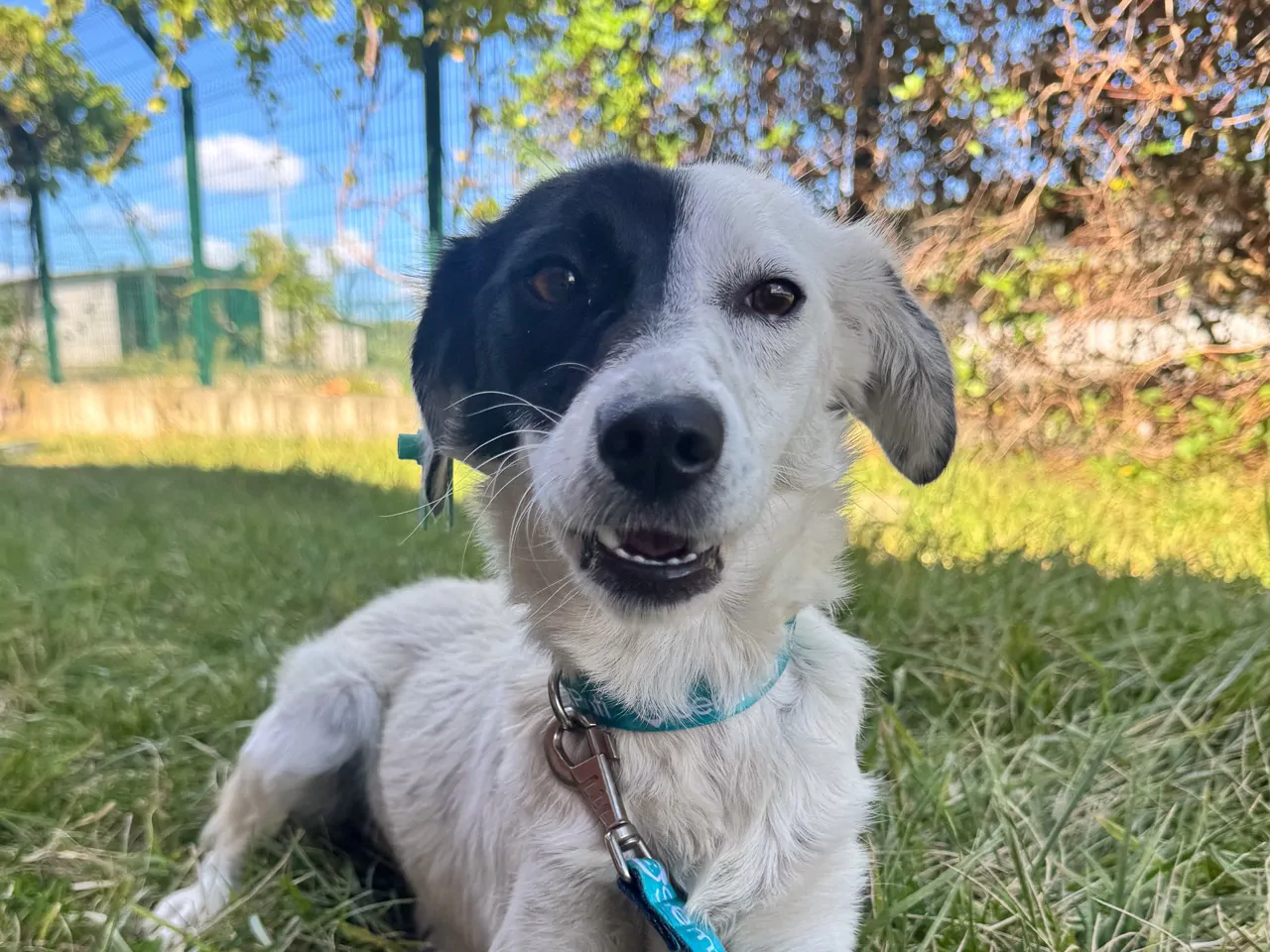 Skye