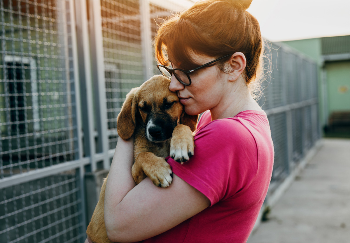 Köpek Sahiplenmeden Önce Bilmeniz Gereken 10 Altın Kural